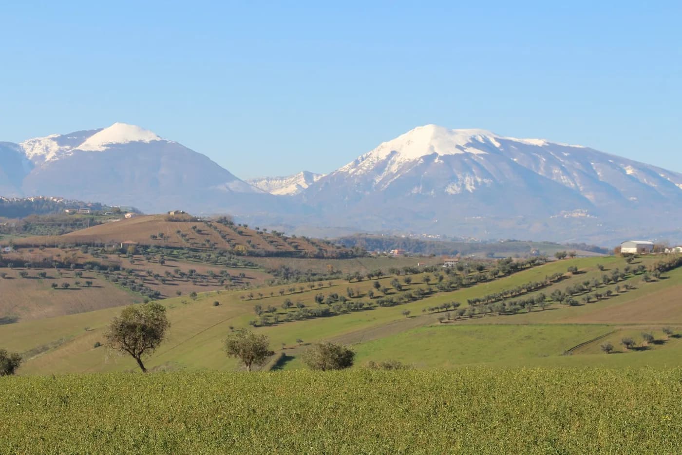 Colline abruzzesi con il Gran Sasso sullo sfondo